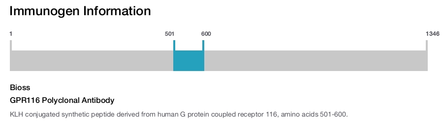 GPR116 Polyclonal Antibody