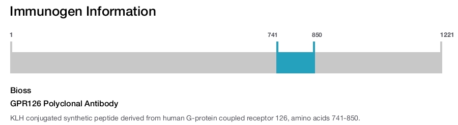 GPR126 Polyclonal Antibody