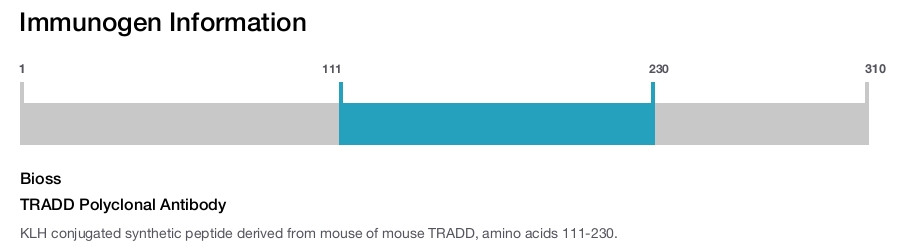 TRADD Polyclonal Antibody