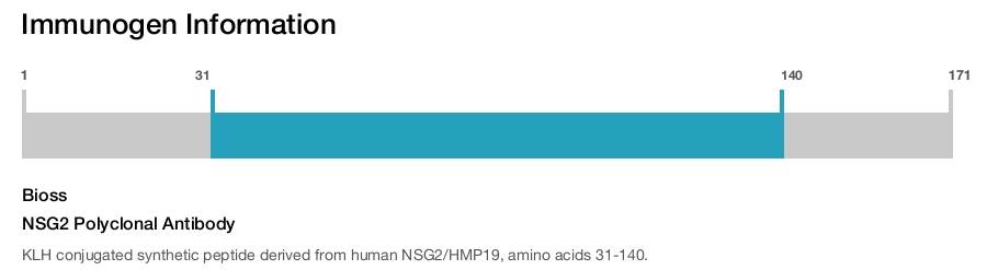 NSG2 Polyclonal Antibody