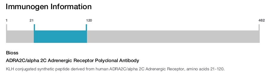 ADRA2C/alpha 2C Adrenergic Receptor Polyclonal Antibody