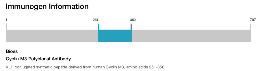Cyclin M3 Polyclonal Antibody