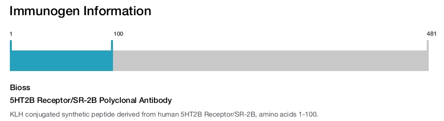 5HT2B Receptor/SR-2B Polyclonal Antibody