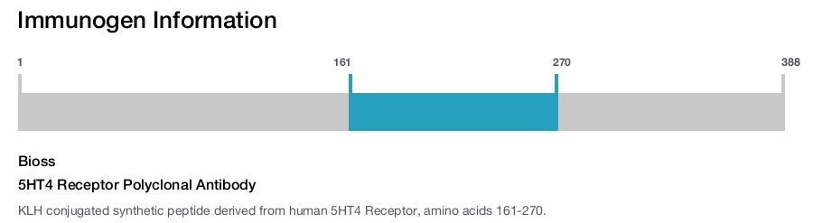 5HT4 Receptor Polyclonal Antibody