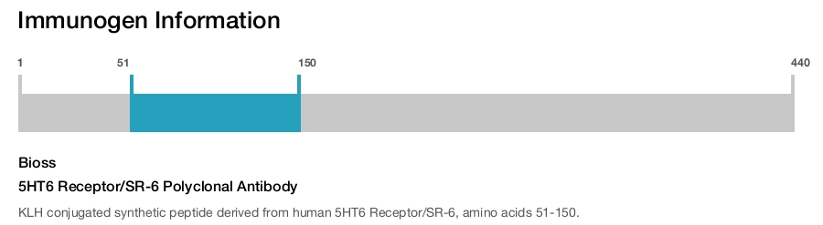 5HT6 Receptor/SR-6 Polyclonal Antibody