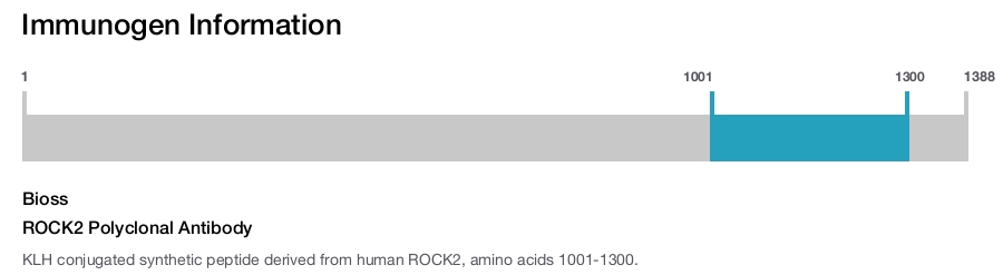 ROCK2 Polyclonal Antibody