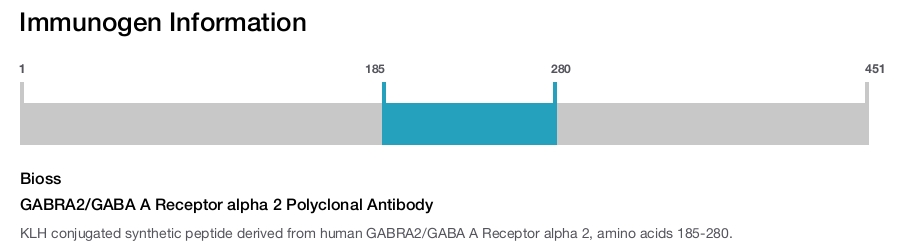 GABRA2/GABA A Receptor alpha 2 Polyclonal Antibody