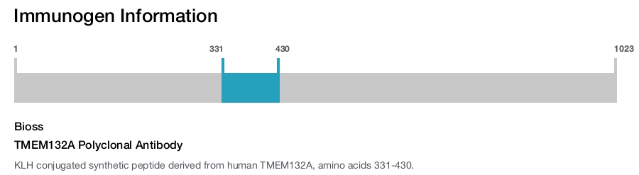 TMEM132A Polyclonal Antibody