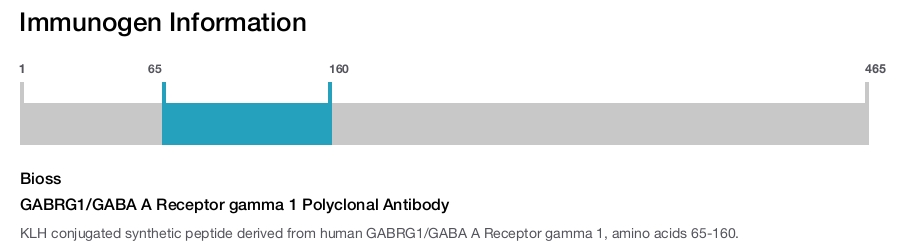 GABRG1/GABA A Receptor gamma 1 Polyclonal Antibody
