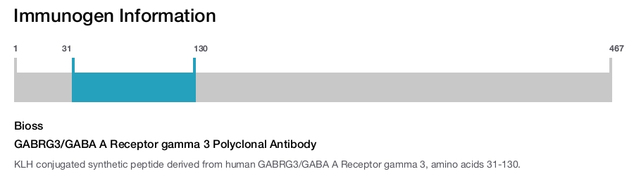 GABRG3/GABA A Receptor gamma 3 Polyclonal Antibody