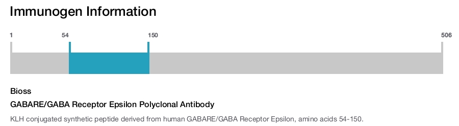 GABARE/GABA Receptor Epsilon Polyclonal Antibody