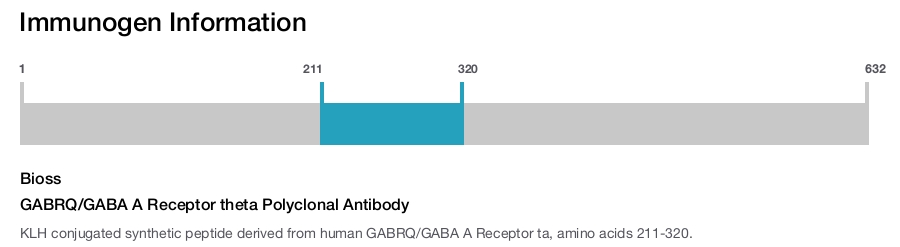 GABRQ/GABA A Receptor theta Polyclonal Antibody