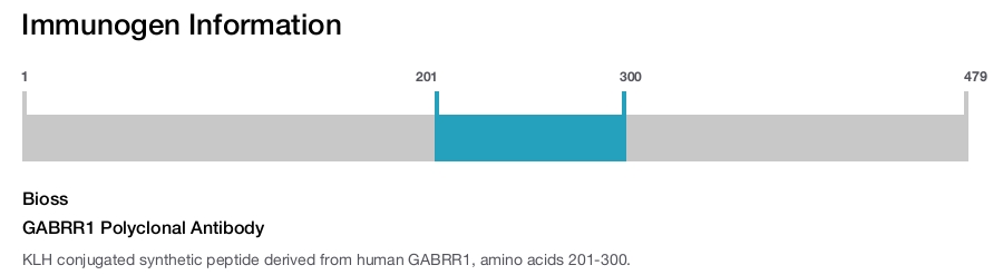 GABRR1 Polyclonal Antibody