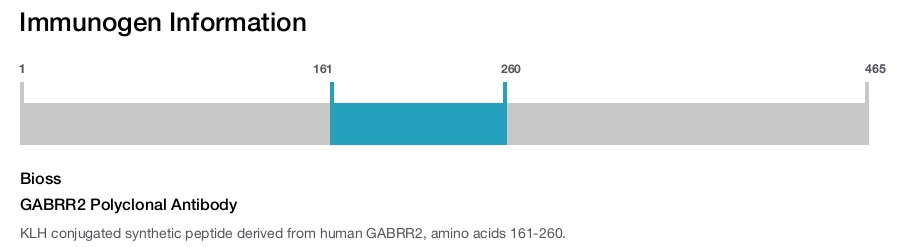 GABRR2 Polyclonal Antibody