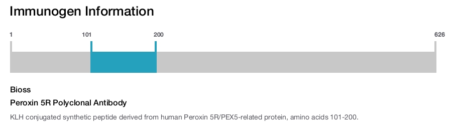 Peroxin 5R Polyclonal Antibody