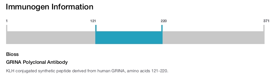 GRINA Polyclonal Antibody