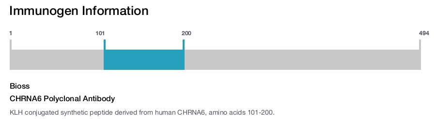 CHRNA6 Polyclonal Antibody