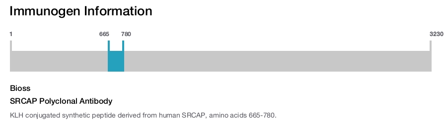 SRCAP Polyclonal Antibody