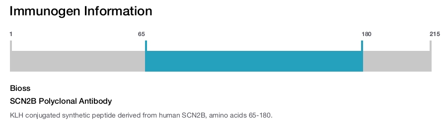 SCN2B Polyclonal Antibody