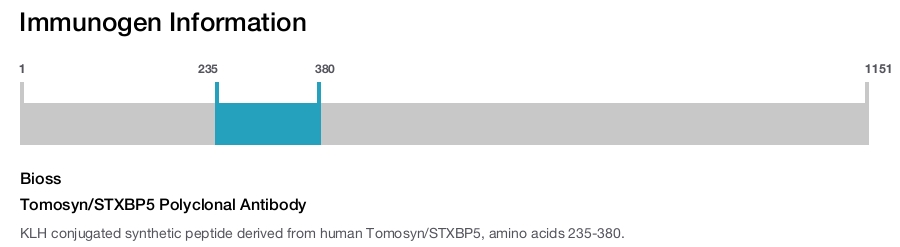 Tomosyn/STXBP5 Polyclonal Antibody