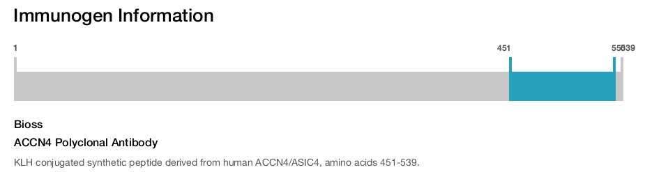 ACCN4 Polyclonal Antibody