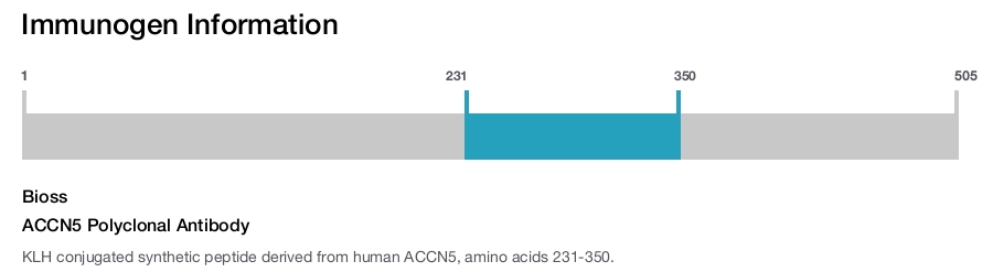 ACCN5 Polyclonal Antibody