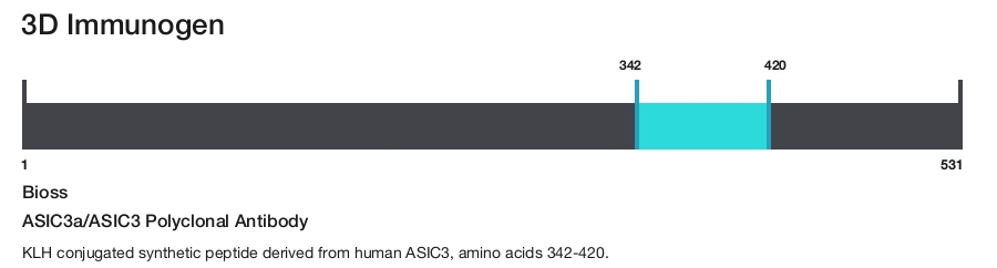 ASIC3a/ASIC3 Polyclonal Antibody
