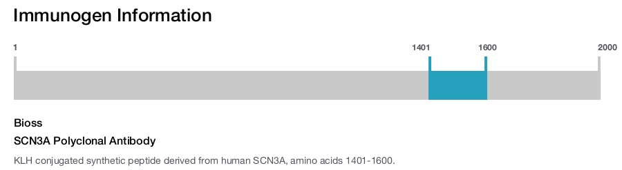 SCN3A Polyclonal Antibody
