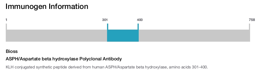 ASPH/Aspartate beta hydroxylase Polyclonal Antibody