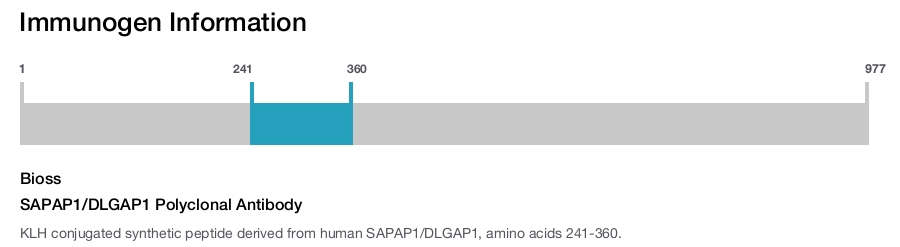 SAPAP1/DLGAP1 Polyclonal Antibody