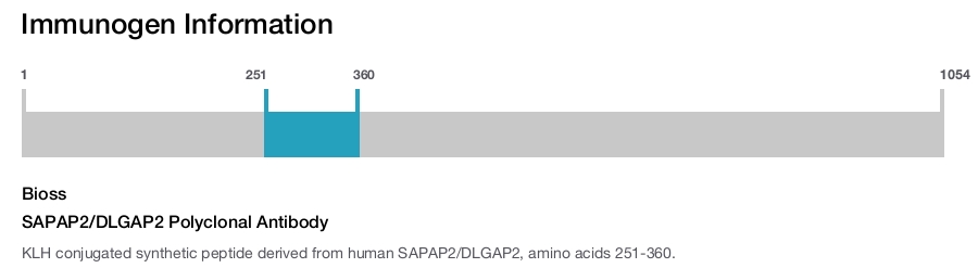 SAPAP2/DLGAP2 Polyclonal Antibody