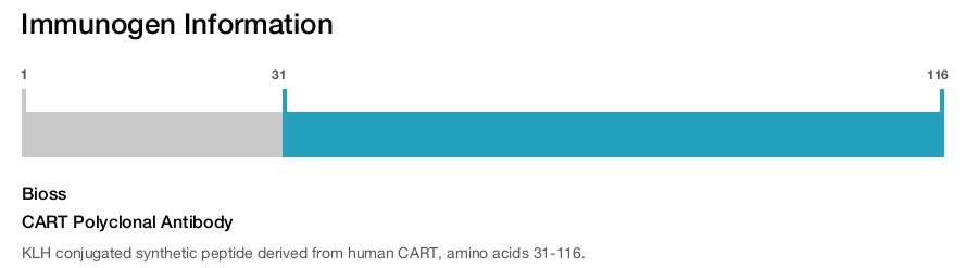 CART Polyclonal Antibody