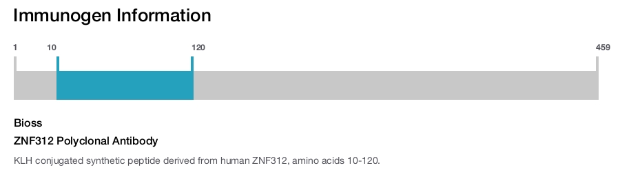 ZNF312 Polyclonal Antibody