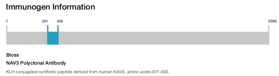 NAV3 Polyclonal Antibody