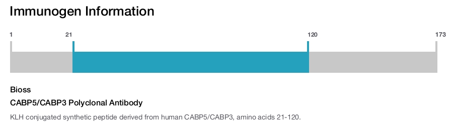CABP5/CABP3 Polyclonal Antibody