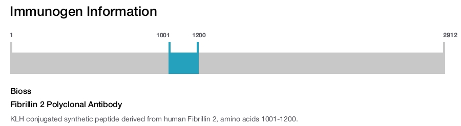 Fibrillin 2 Polyclonal Antibody