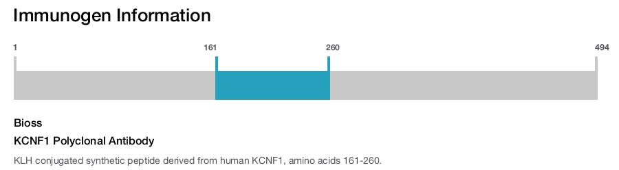 KCNF1 Polyclonal Antibody