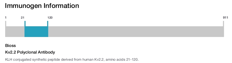 Kv2.2 Polyclonal Antibody
