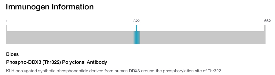 Phospho-DDX3 (Thr322) Polyclonal Antibody