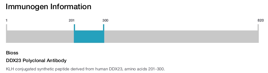 DDX23 Polyclonal Antibody