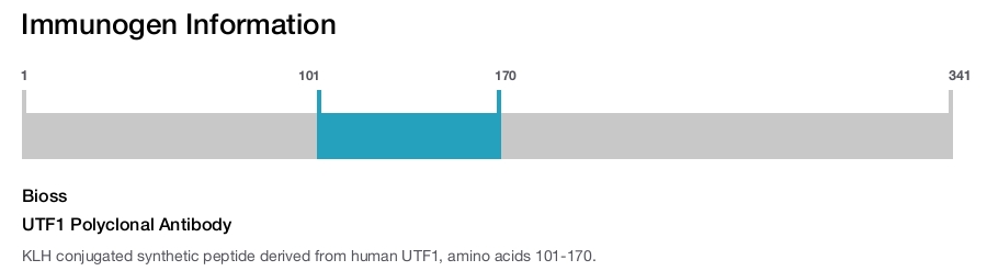 UTF1 Polyclonal Antibody