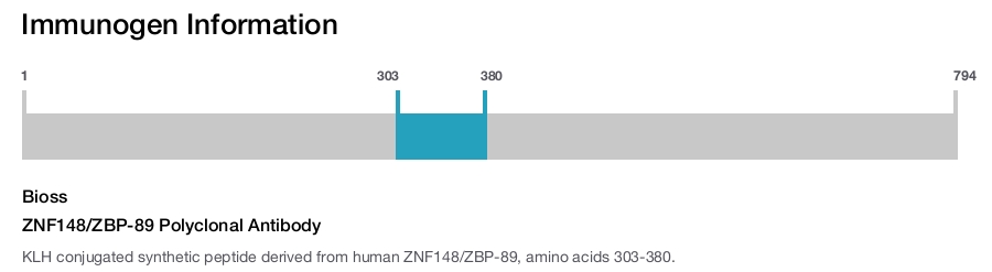 ZNF148/ZBP-89 Polyclonal Antibody
