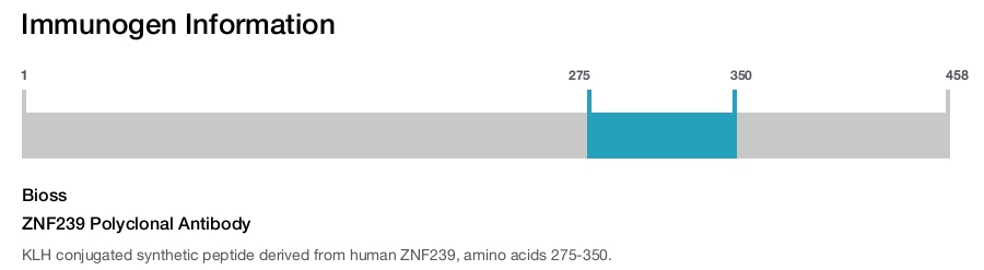 ZNF239 Polyclonal Antibody