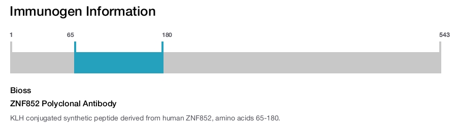 ZNF852 Polyclonal Antibody