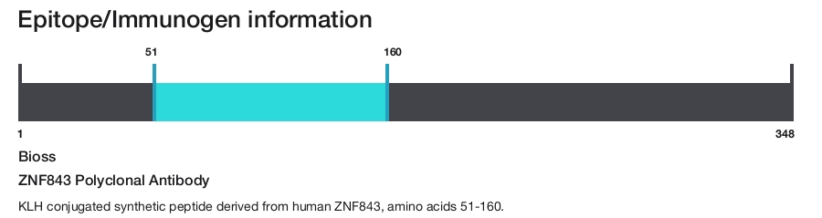 ZNF843 Polyclonal Antibody