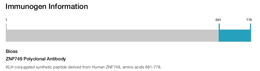 ZNF749 Polyclonal Antibody