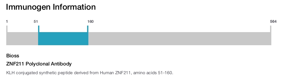 ZNF211 Polyclonal Antibody