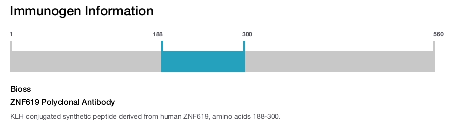 ZNF619 Polyclonal Antibody