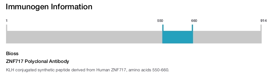 ZNF717 Polyclonal Antibody