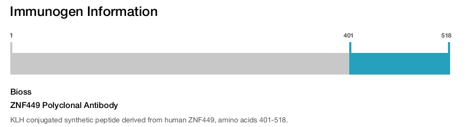 ZNF449 Polyclonal Antibody